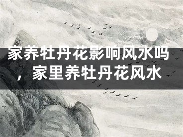 家养牡丹花影响风水吗,家里养牡丹花风水
