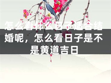 怎么看什么日子适合结婚呢，怎么看日子是不是黄道吉日