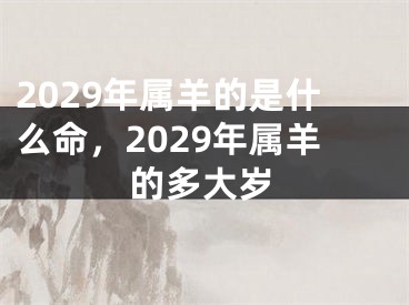 2029年属羊的是什么命，2029年属羊的多大岁