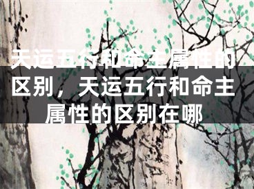 天运五行和命主属性的区别，天运五行和命主属性的区别在哪
