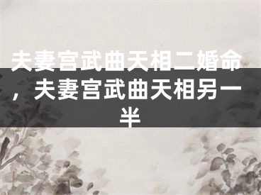 夫妻宫武曲天相二婚命,夫妻宫武曲天相另一半
