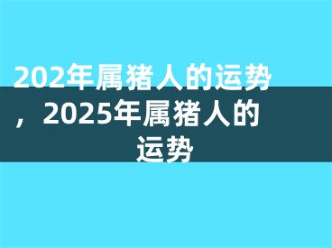 202年属猪人的运势,2025年属猪人的运势