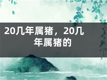 20几年属猪，20几年属猪的