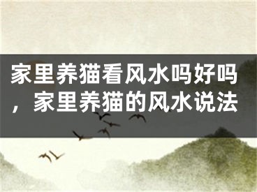 家里养猫看风水吗好吗，家里养猫的风水说法