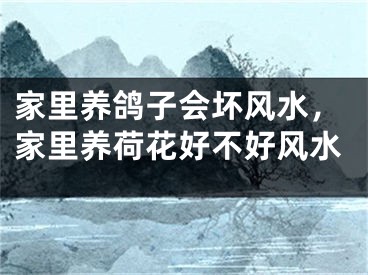 家里养鸽子会坏风水，家里养荷花好不好风水