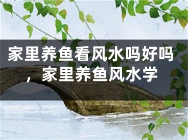家里养鱼看风水吗好吗,家里养鱼风水学