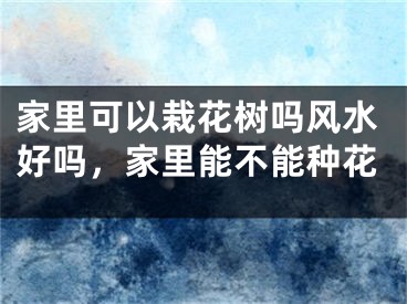 家里可以栽花树吗风水好吗，家里能不能种花