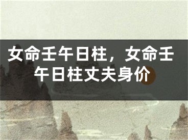 女命壬午日柱，女命壬午日柱丈夫身价