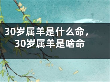 30岁属羊是什么命,30岁属羊是啥命