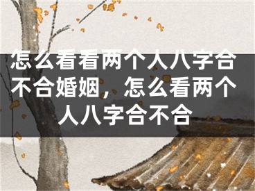 怎么看看两个人八字合不合婚姻，怎么看两个人八字合不合