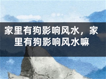 家里有狗影响风水,家里有狗影响风水嘛