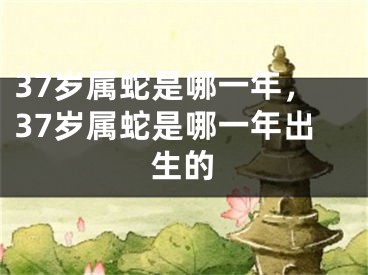 37岁属蛇是哪一年，37岁属蛇是哪一年出生的