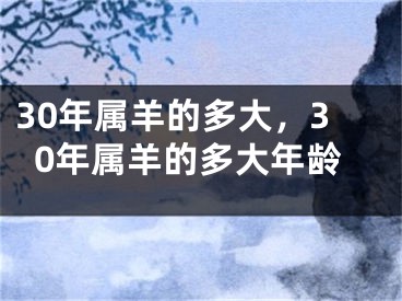 30年属羊的多大,30年属羊的多大年龄