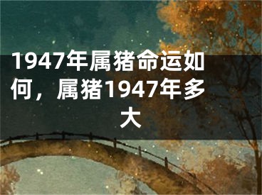 1947年属猪命运如何，属猪1947年多大