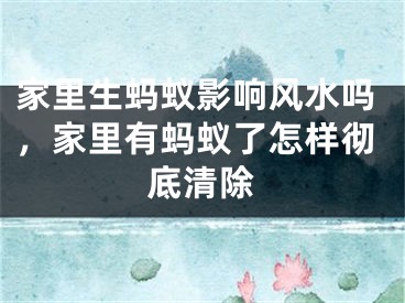 家里生蚂蚁影响风水吗，家里有蚂蚁了怎样彻底清除