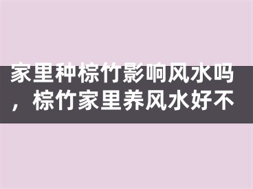 家里种棕竹影响风水吗，棕竹家里养风水好不