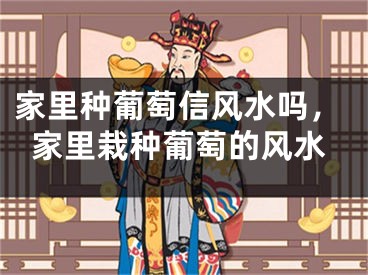 家里种葡萄信风水吗，家里栽种葡萄的风水