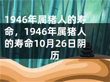 1946年属猪人的寿命，1946年属猪人的寿命10月26日阴历
