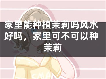 家里能种植茉莉吗风水好吗，家里可不可以种茉莉