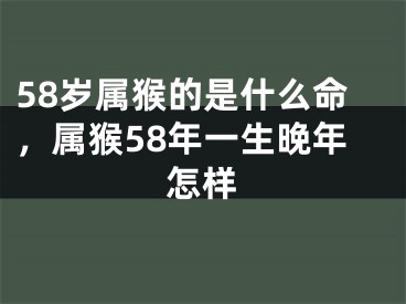 58岁属猴的是什么命，属猴58年一生晚年怎样