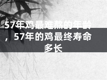 57年鸡最难熬的年龄,57年的鸡最终寿命多长