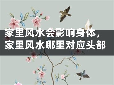 家里风水会影响身体,家里风水哪里对应头部