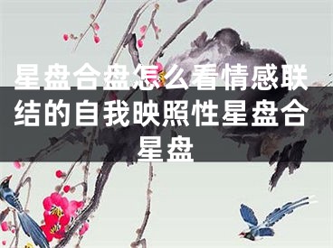 星盘合盘怎么看情感联结的自我映照性星盘合星盘
