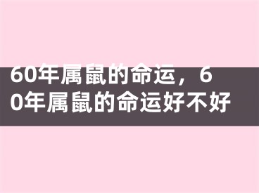 60年属鼠的命运,60年属鼠的命运好不好