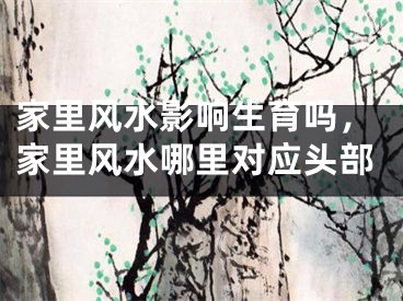 家里风水影响生育吗,家里风水哪里对应头部