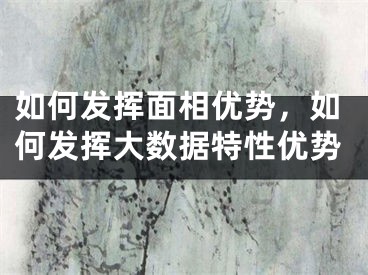 如何发挥面相优势，如何发挥大数据特性优势