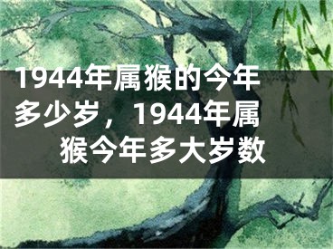 1944年属猴的今年多少岁，1944年属猴今年多大岁数