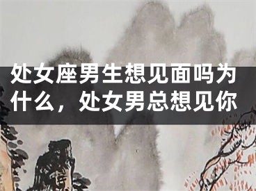 处女座男生想见面吗为什么,处女男总想见你
