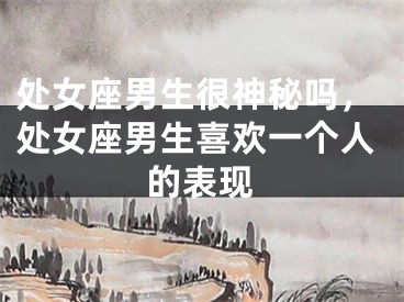 处女座男生很神秘吗，处女座男生喜欢一个人的表现