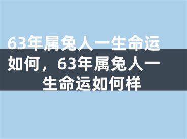 63年属兔人一生命运如何，63年属兔人一生命运如何样