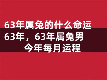 63年属兔的什么命运63年,63年属兔男今年每月运程