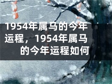 1954年属马的今年运程，1954年属马的今年运程如何