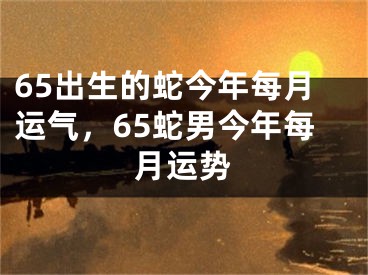65出生的蛇今年每月运气，65蛇男今年每月运势