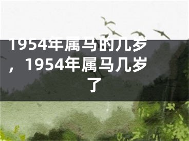 1954年属马的几岁,1954年属马几岁了