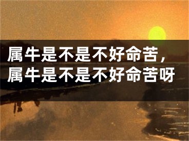 属牛是不是不好命苦,属牛是不是不好命苦呀
