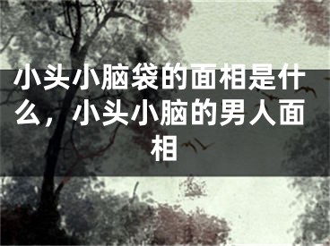 小头小脑袋的面相是什么，小头小脑的男人面相