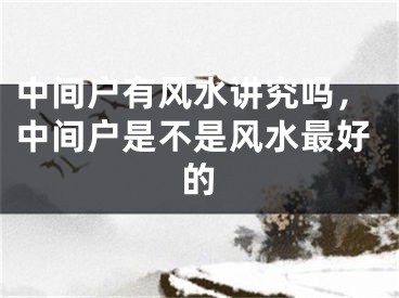 中间户有风水讲究吗，中间户是不是风水最好的