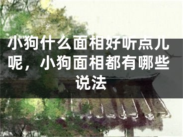 小狗什么面相好听点儿呢,小狗面相都有哪些说法