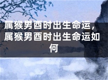 属猴男酉时出生命运,属猴男酉时出生命运如何