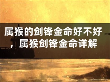 属猴的剑锋金命好不好,属猴剑锋金命详解