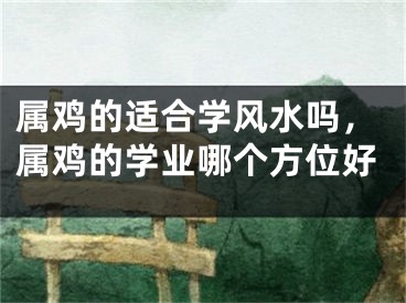 属鸡的适合学风水吗,属鸡的学业哪个方位好