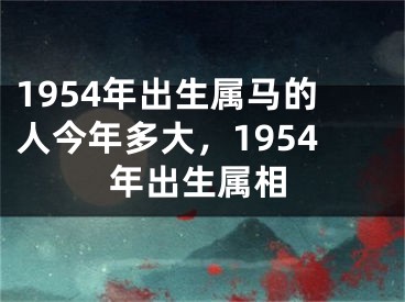 1954年出生属马的人今年多大，1954年出生属相