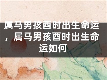 属马男孩酉时出生命运,属马男孩酉时出生命运如何
