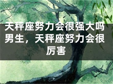 天秤座努力会很强大吗男生，天秤座努力会很厉害
