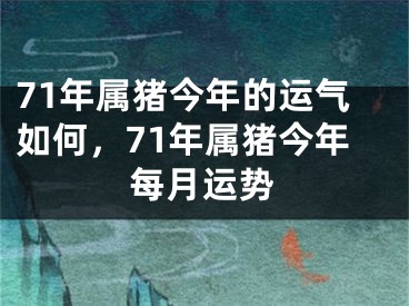 71年属猪今年的运气如何，71年属猪今年每月运势