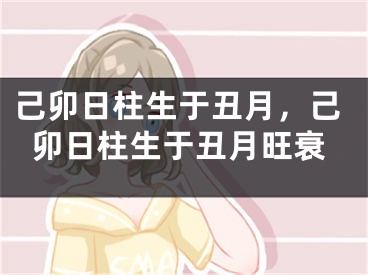 己卯日柱生于丑月，己卯日柱生于丑月旺衰